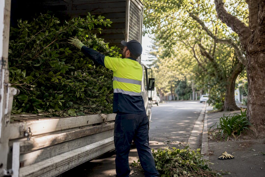 Worker loading green waste into truck