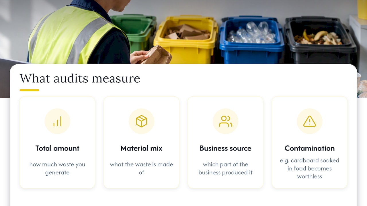 Four dimensions of a business waste audit