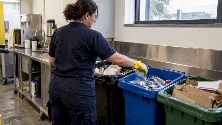 Manager sorting waste during business audit